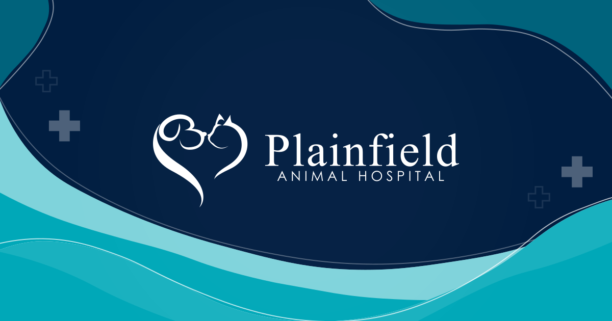 Book Online | Plainfield Animal Hospital | South Plainfield Vet