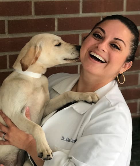 Dr. Alexandra Castellanos-Figueroa, South Plainfield Veterinary Technician