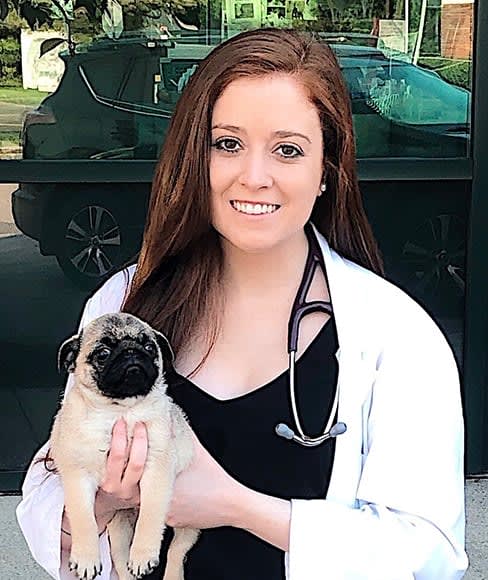 Dr. Karley Musum, South Plainfield Associate Veterinarian