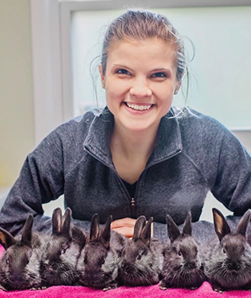 Dr. Katrina Bocchine, South Plainfield Veterinary Technician