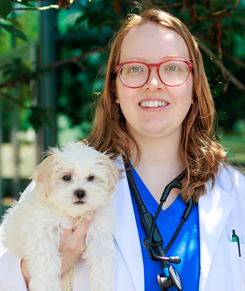 Dr. Madeline Hipkin, South Plainfield Associate Veterinarian