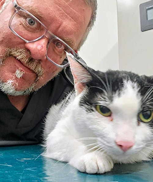 Dr. Sean Lynch, South Plainfield Veterinary Technician