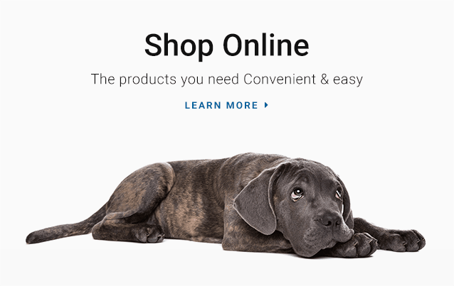 Shop for Pet Products Online